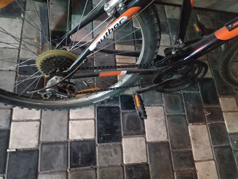 author trophy spartivni rusda kelgan velasped