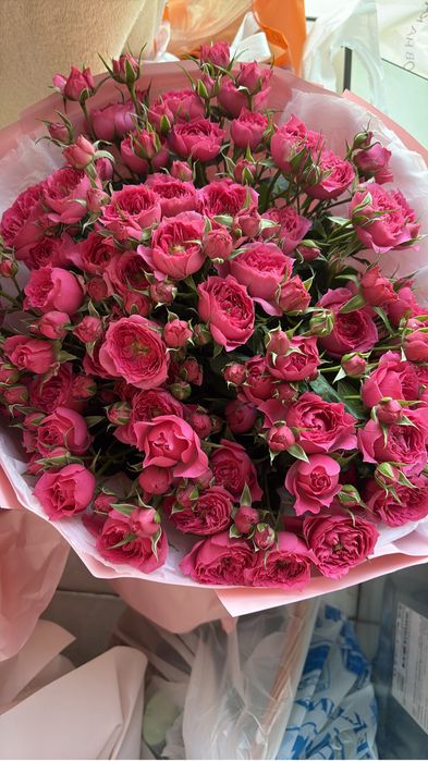 Продам цветы от 5-8 тысяч