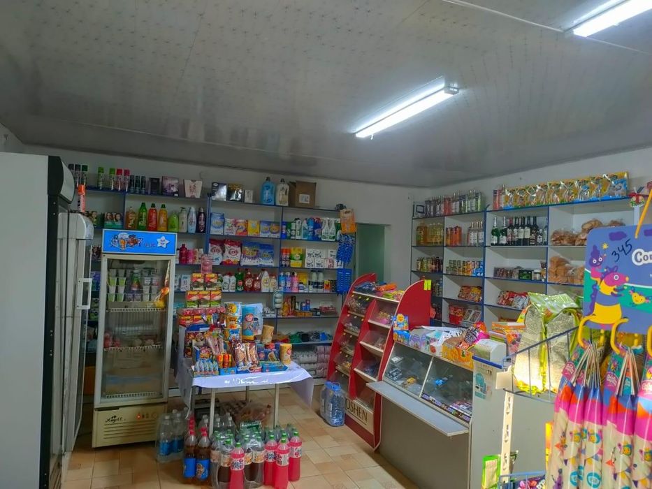 Магазин, дом , фазенда