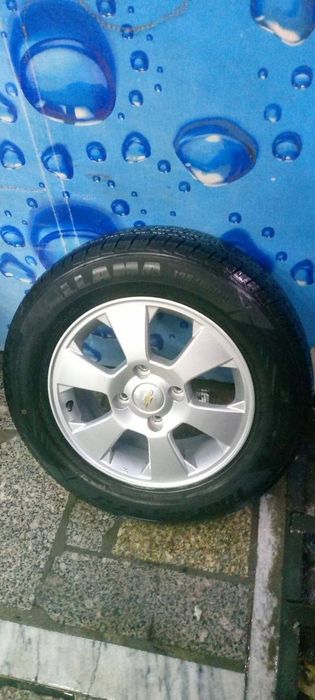 Жентра родной диски