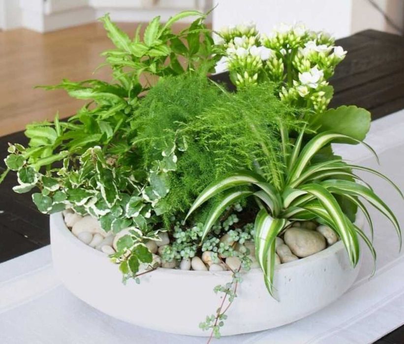 Терариум за плот