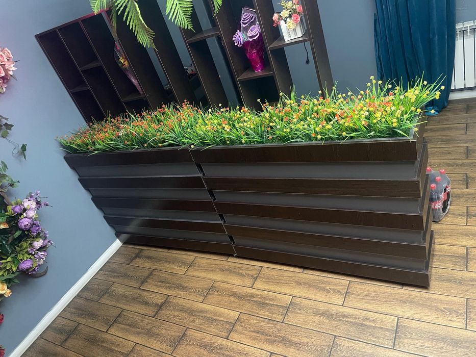 декор  цветов бағасы 15000