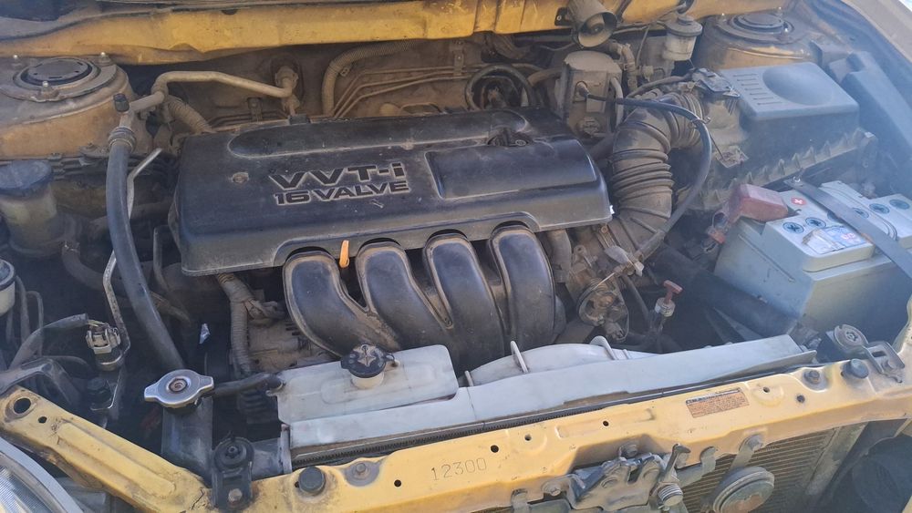 Продам в хорошие руки