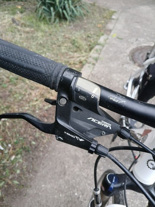 Bicicleta tretwerk arch