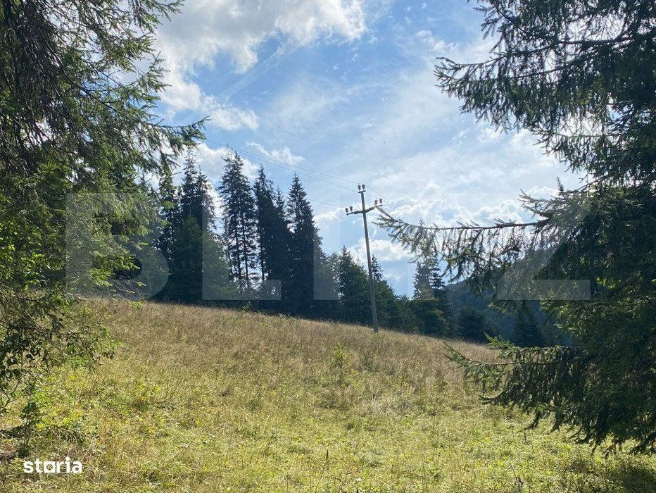 Oportunitate de Investitie: Teren de 10.000 mp la Intrarea in Predeal