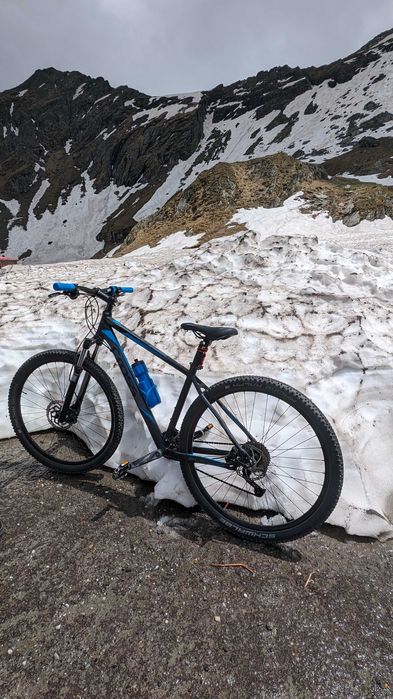 Bicicleta Cross 29