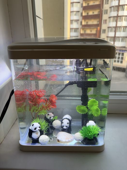 Аквариум для маленьких рыб