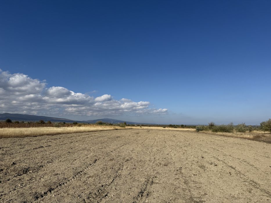 Teren extravilan Câmpineanca ( la iesire spre Carligele)3000 mp
