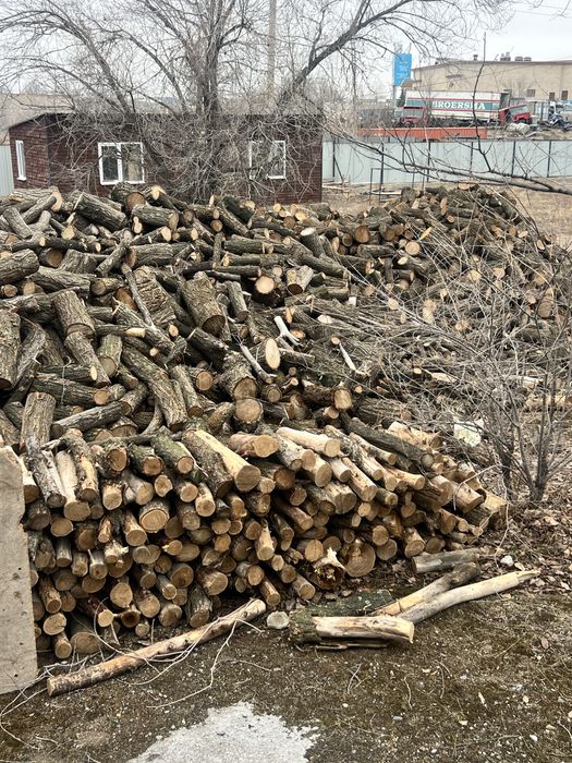 Дрова карагач. Колотые и цельные