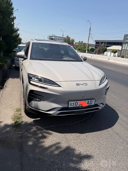 Byd champion smart