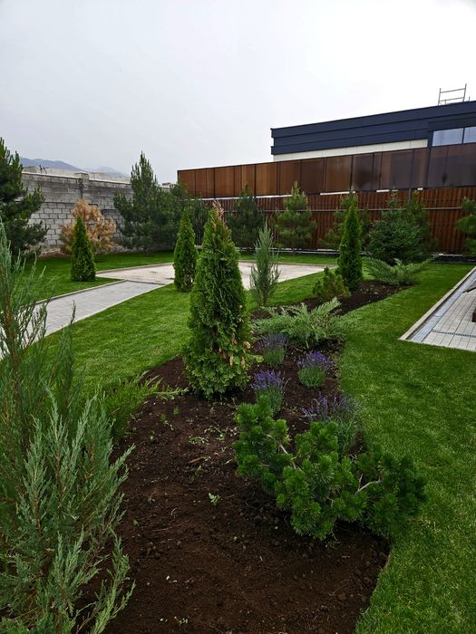 Ландшафтный дизайн