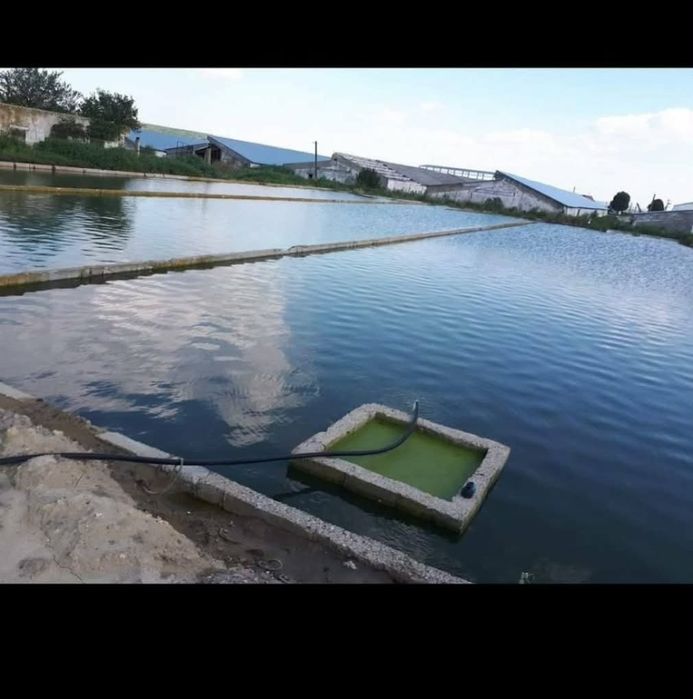 Vand ferma zootehnica cu sau fara utilaje