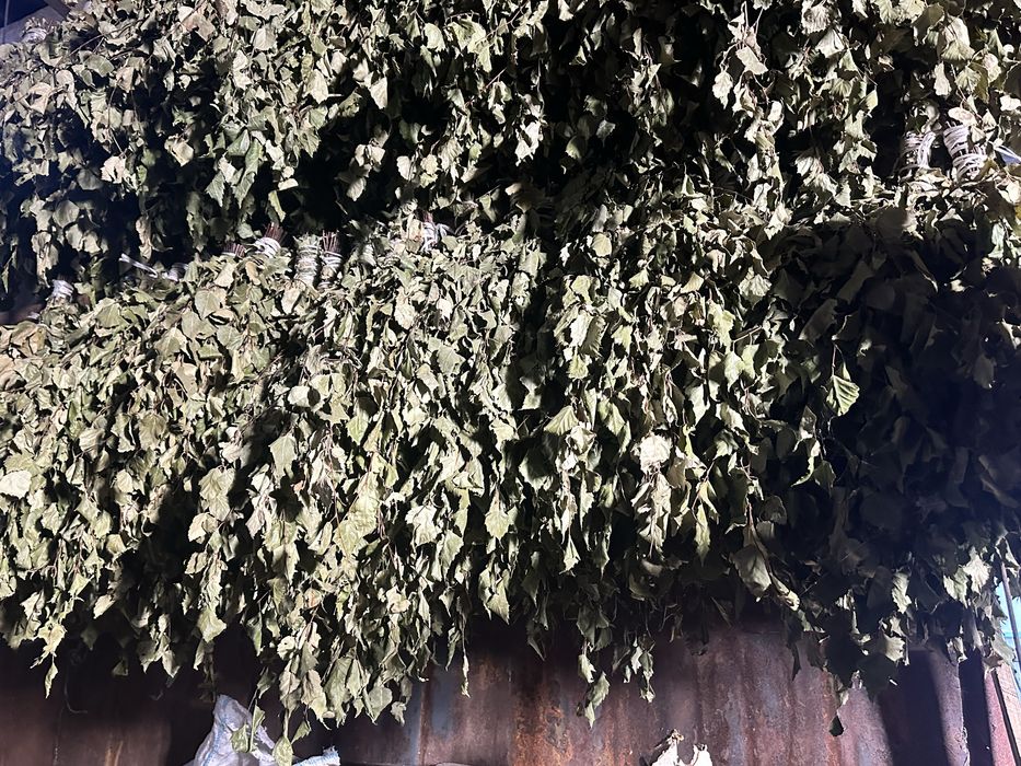 Веники берёзовые в баню!