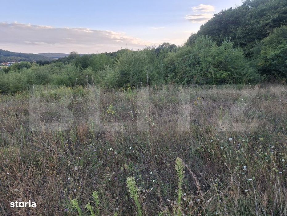 Teren extravilan, 5.100 mp, zona Livezeni
