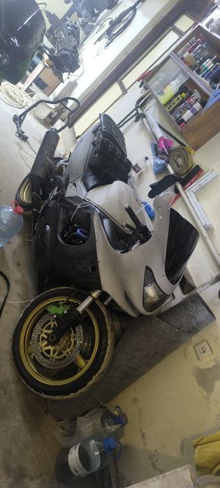 Yamaha thundercat