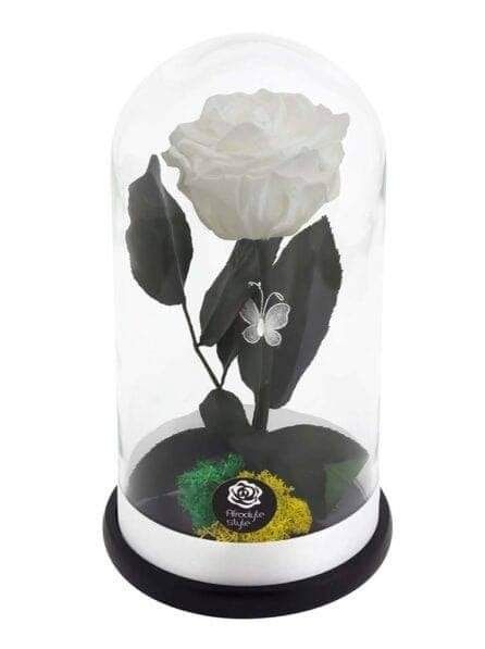 Aranjamente trandafiri criogenati