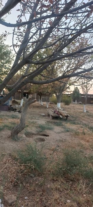 Yer sotiladi kelishamiz