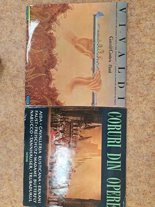 Vinil, OCAZIE, 200 lei