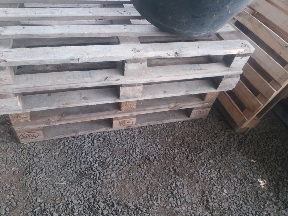 Paleti Euro si non Euro