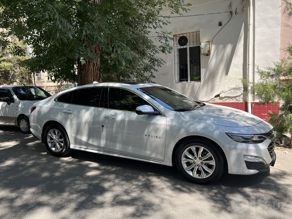 Taxi xizmati, Toshkent shahar va Toshkent viloyati buylab, 24/7