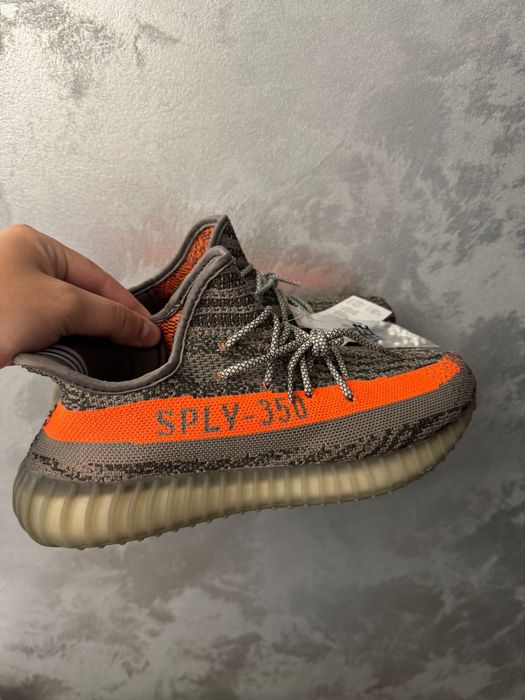 Yeezy beluga 43 si 41