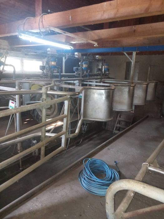 Vând sala de muls 2x4 Afimilk