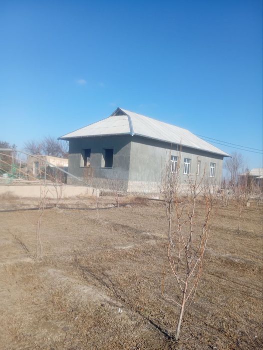 Hovli joy tomorqasi va xoʻjaligi bilan