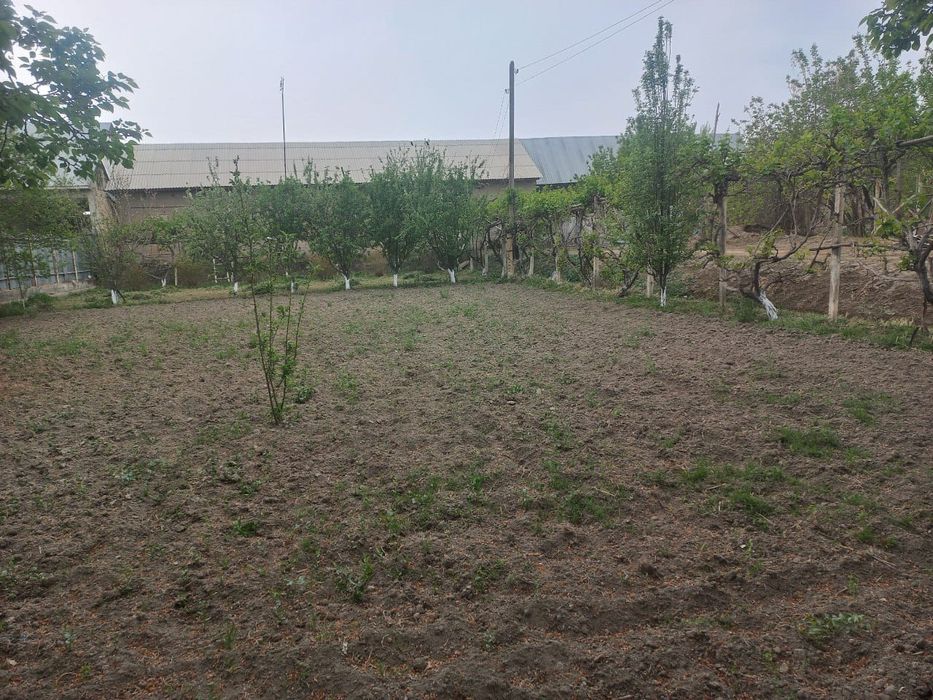 Buxoroda Jondor Alelicha qishlog'ida Hovli sotiladi