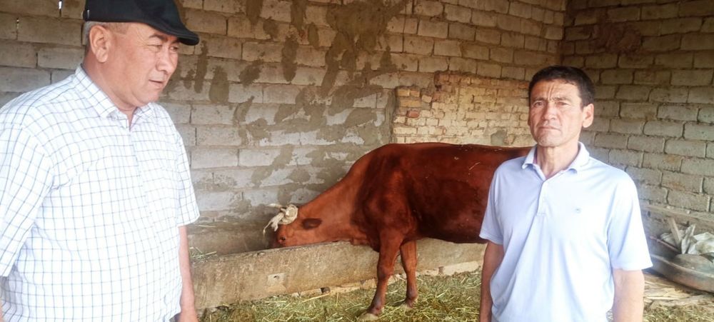 Корамол сотиш зотдор