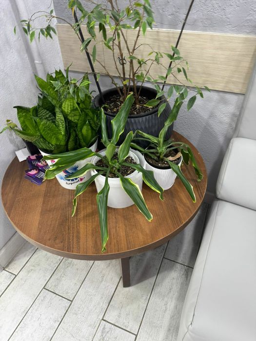 продам журнальный стол