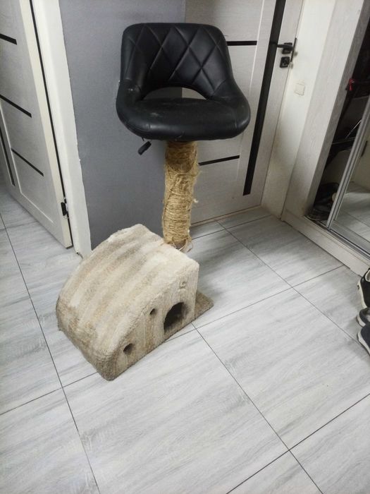 домик для кошки и собак