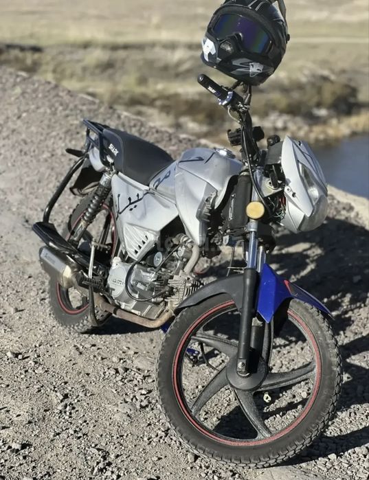 альфа шарк 125куб