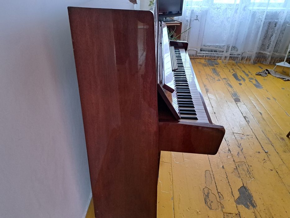 Продаем панино Белоруссия