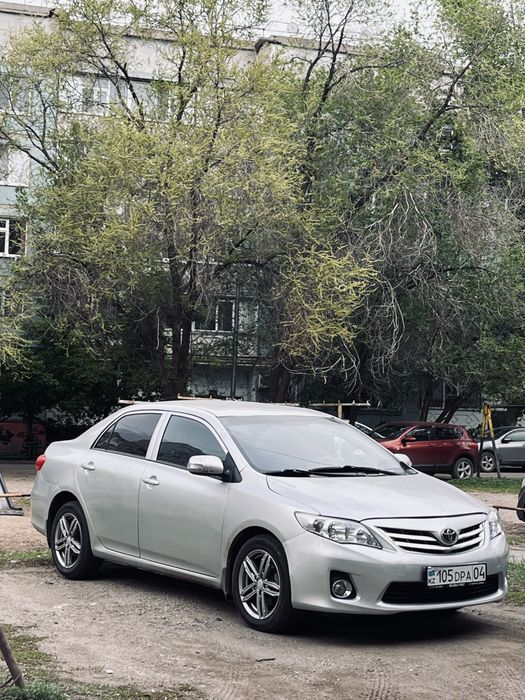 Трезвый водитель