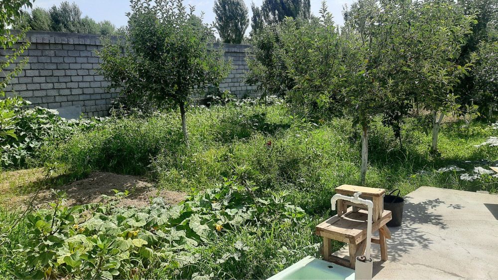 Hovli sotiladi - biznes va yashash uchun qulay joy!