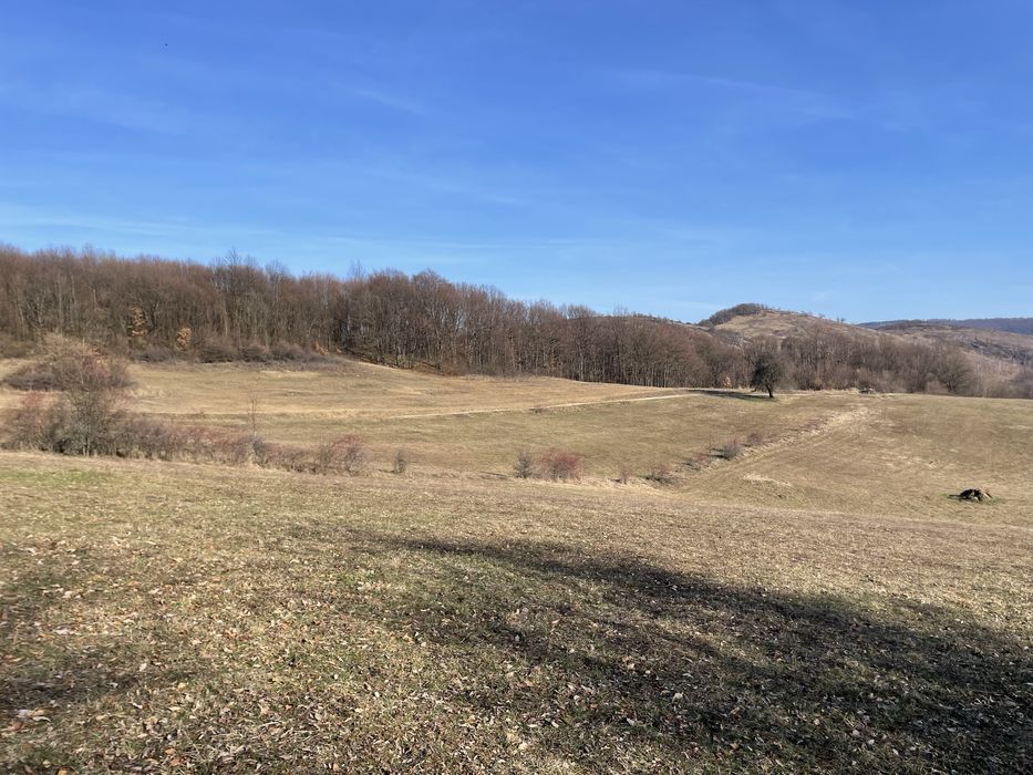 Teren in sat Tomnatic 4330mp