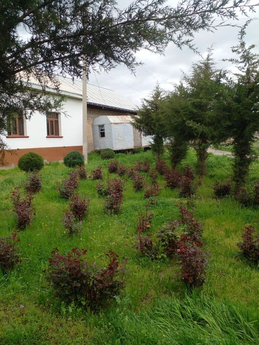 Vagon  Sotiladi KACHESTVALI