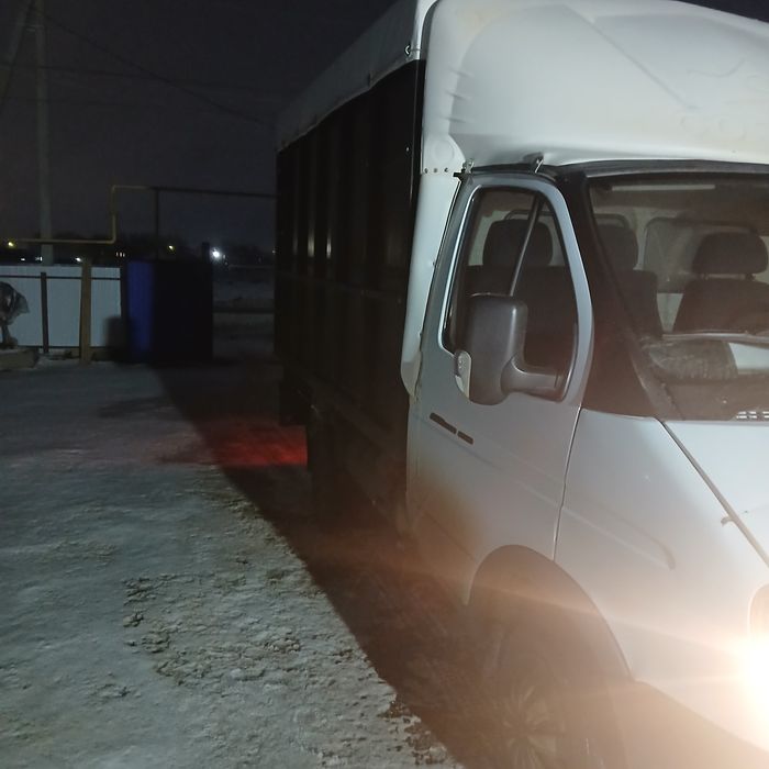 Газель с усесенный рамой