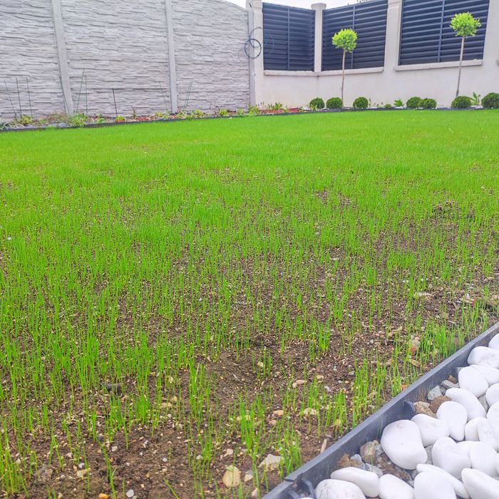 Топ Градинар - Поддръжка на Зелени Площи и Озеленяване!