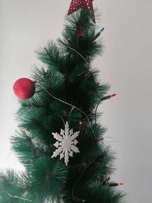 Жилкова елха 210 см