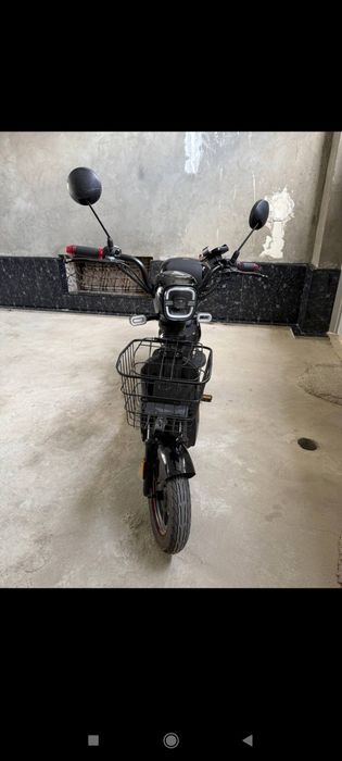 14 choʻntak modeli