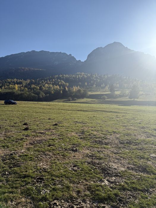 Vand teren zona Plaiu foi Zarnesti