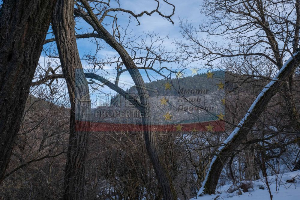 Къща с двор - 4177 м2 в с. Бабица