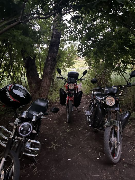 мопед Альфа Raid 125