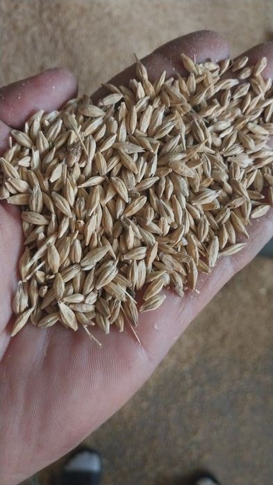 Корм для скота. Жем