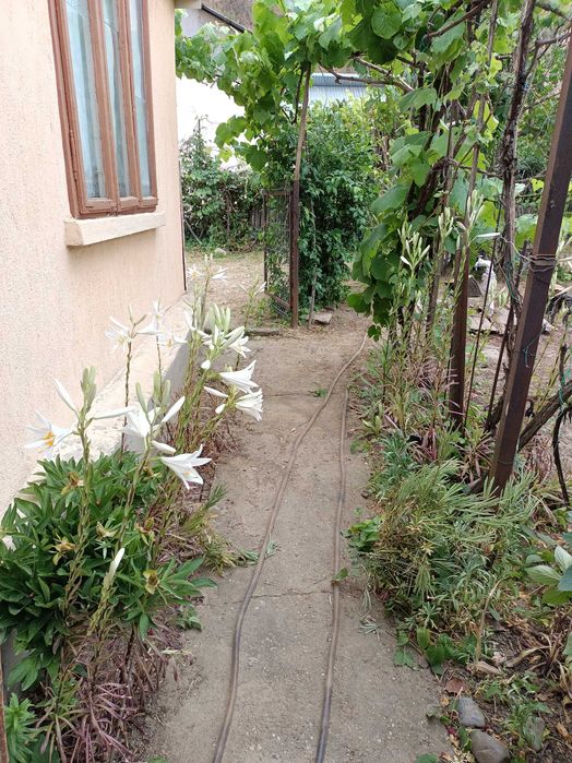 Casa bătrânească locuibila la 10 km de Tecuci cu 450 m2 teren.