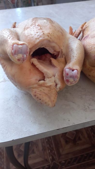 Продам домашних бройлеров