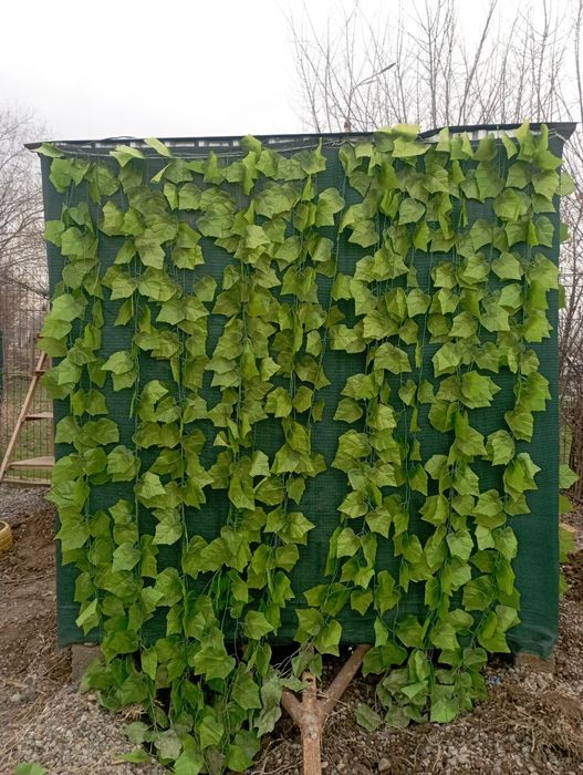 Butka sotiladi narxini kelshamz 2ta baloni bor