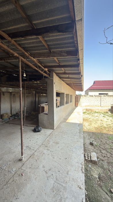 Янги ховли 8 сутик 60 фоиз битган