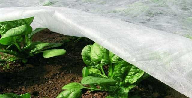 Агроволокно (СпанбонД) 30, 42, и 60 Шир (3,2 длина 200 м)